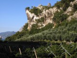 IMG_1178.jpg