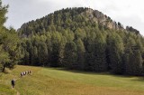 IMG_7855.jpg