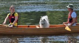 IMG_0036.jpg