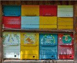 Bee hives.jpg