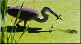 IMG_0582.jpg