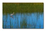 IMG_5502_edited-1.jpg