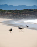 Plettenberg Bay