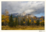 20080922_Kananaskis_0150.jpg