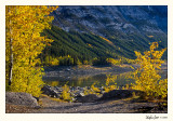 20080928_Jasper_0254.jpg