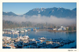 20090119_Vancouver_0001.jpg
