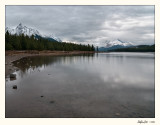 20091006_Jasper_0143.jpg