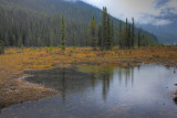 20100912_Lk OHara_0063_4_5.jpg