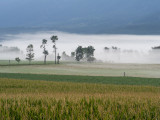 20120919_Alberta BC_0125.jpg