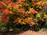 20120930_Alberta BC_0161.jpg