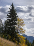 20121001_Alberta BC_0200.jpg