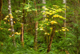 20121013_Gordon Bay PP_0530.jpg