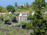 Puntagorda 1:1 crop