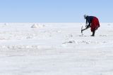 Working in the salar, Bolivia