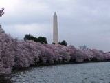 PIC_0227a.jpg