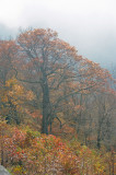 Overlook, Shenandoah National Park