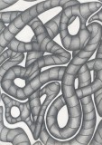 Copy of lauren snakes.jpg