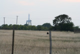 IMG_6279_1.jpg