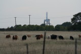 IMG_6282_1.jpg