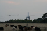IMG_6288_1.jpg