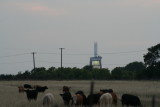 IMG_6290_1.jpg