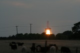 IMG_6291_1.jpg