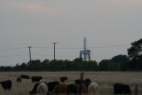 IMG_6293_1.jpg