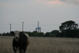 IMG_6298_1.jpg