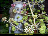 Scare Doll in Fatsia