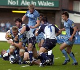 CardiffBlues v leinster12.jpg