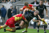 Ospreys v Perpignan19.jpg