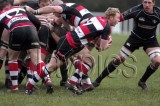 Pontypool v Neath6.jpg