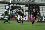 Ospreys v Leicester8.jpg