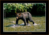 Alaska_2003_0296-copy-b.jpg