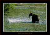 Alaska_2003_0324-copy-b.jpg