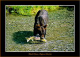 Alaska_2003_0341-copy-b.jpg