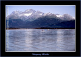 Alaska_2003_0037-copy-b.jpg