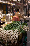 Delhi-70.jpg