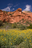 Palatki Ruins Arizona-10.jpg