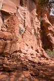 Palatki Ruins Arizona-29.jpg