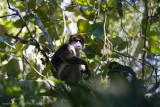 Uganda Animals-1272.jpg