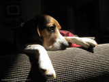 Spike 2010-105.jpg