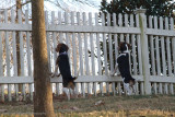 Spike 2010-12.jpg