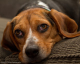 Violet 2010-51.jpg