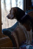 Violet 2010-67.jpg
