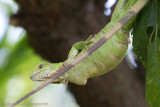 Amazon Peru-365.jpg