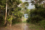 Amazon Peru-404.jpg