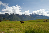 Moray Peru-5.jpg