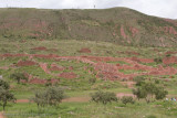 Pikillaqta Peru-4.jpg