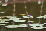 Kota Kinabalu-_MG_6268.jpg